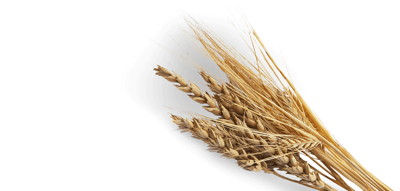 agwest-industries-harvestpage-hero