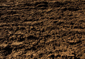 agwest-productline-generic